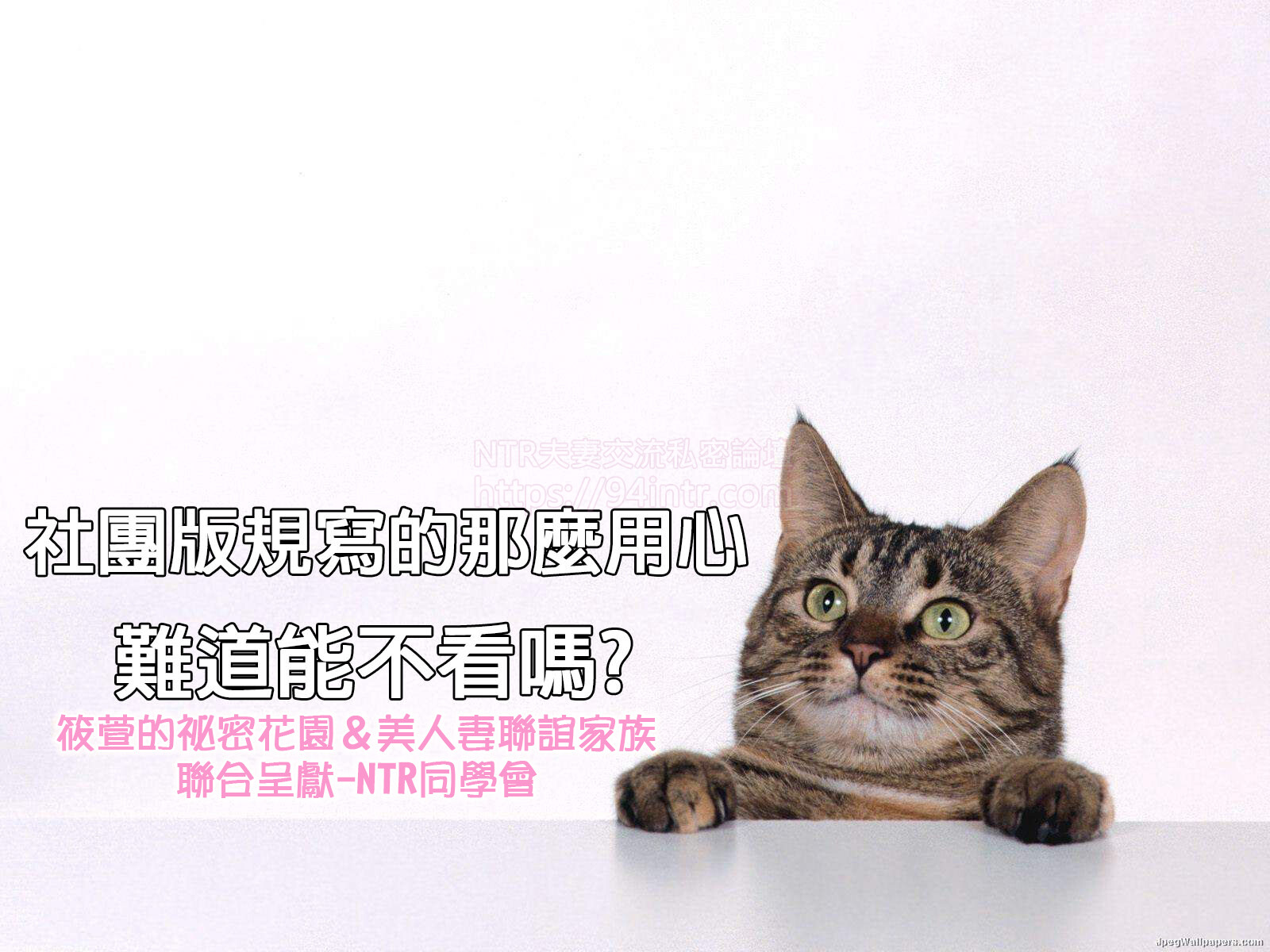 NTR社團封面01.jpg