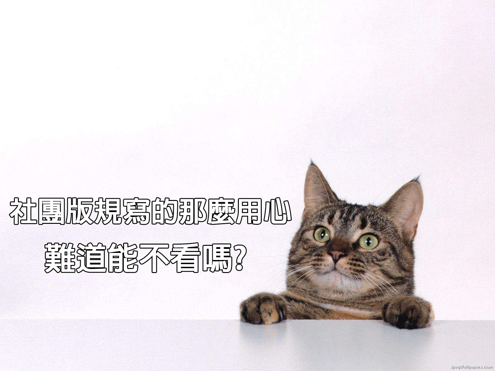 看版規03.jpg
